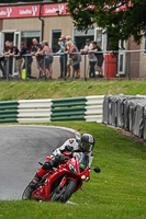 cadwell-no-limits-trackday;cadwell-park;cadwell-park-photographs;cadwell-trackday-photographs;enduro-digital-images;event-digital-images;eventdigitalimages;no-limits-trackdays;peter-wileman-photography;racing-digital-images;trackday-digital-images;trackday-photos